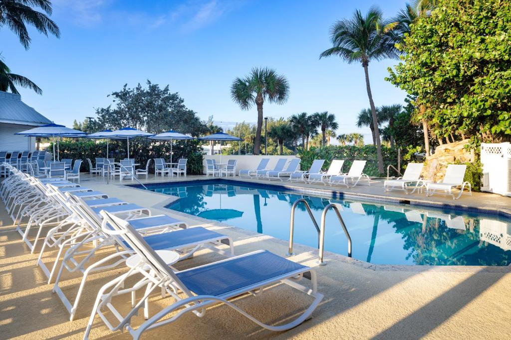 a row of lounge chairs next to a swimming pool at The Lucie in Jensen Beach