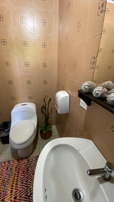 Bilik mandi di Roxy's Bed & Breakfast