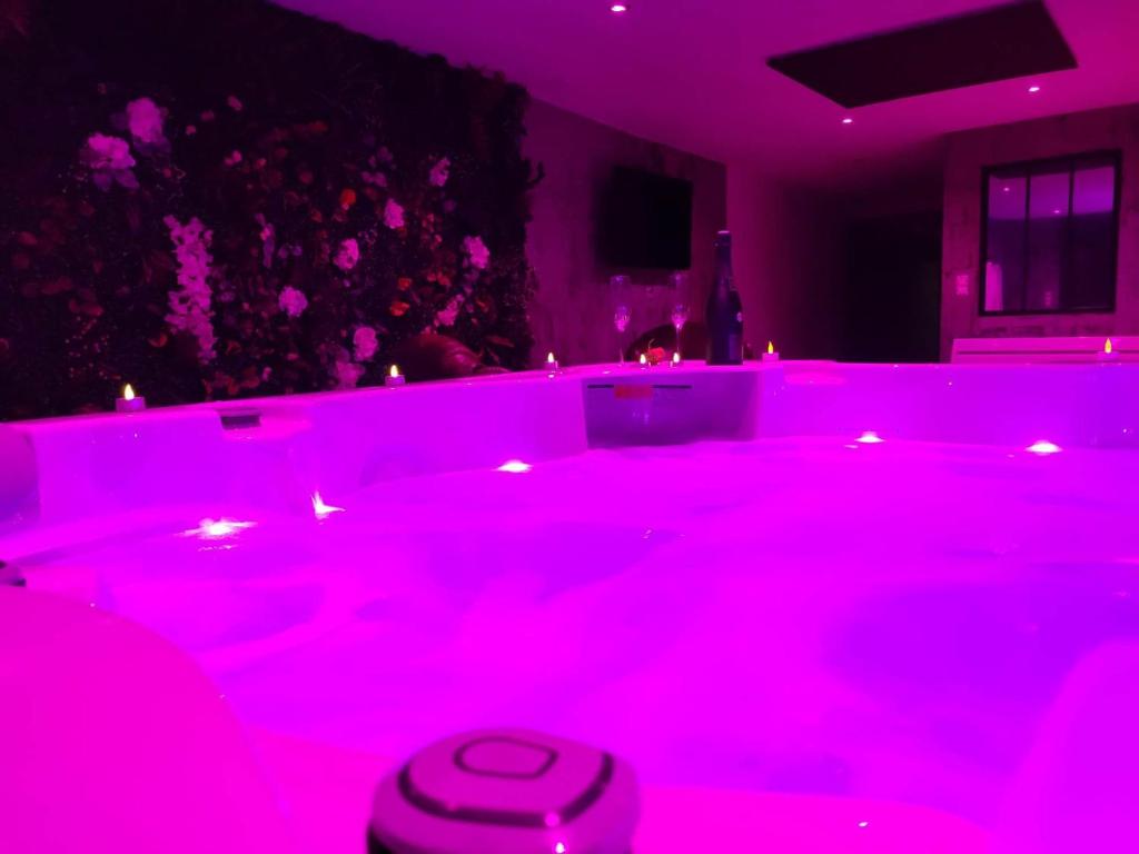 Zimmer mit einer rosa Badewanne mit einer Person in der Unterkunft HORIZON SPA in Samer