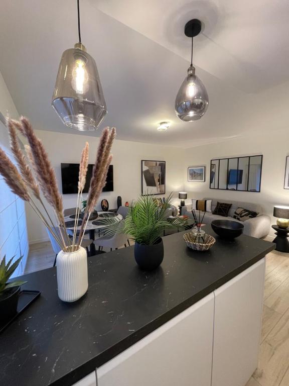 a kitchen with two pendant lights and plants on a counter at Sublime Coeur Deauville in Deauville