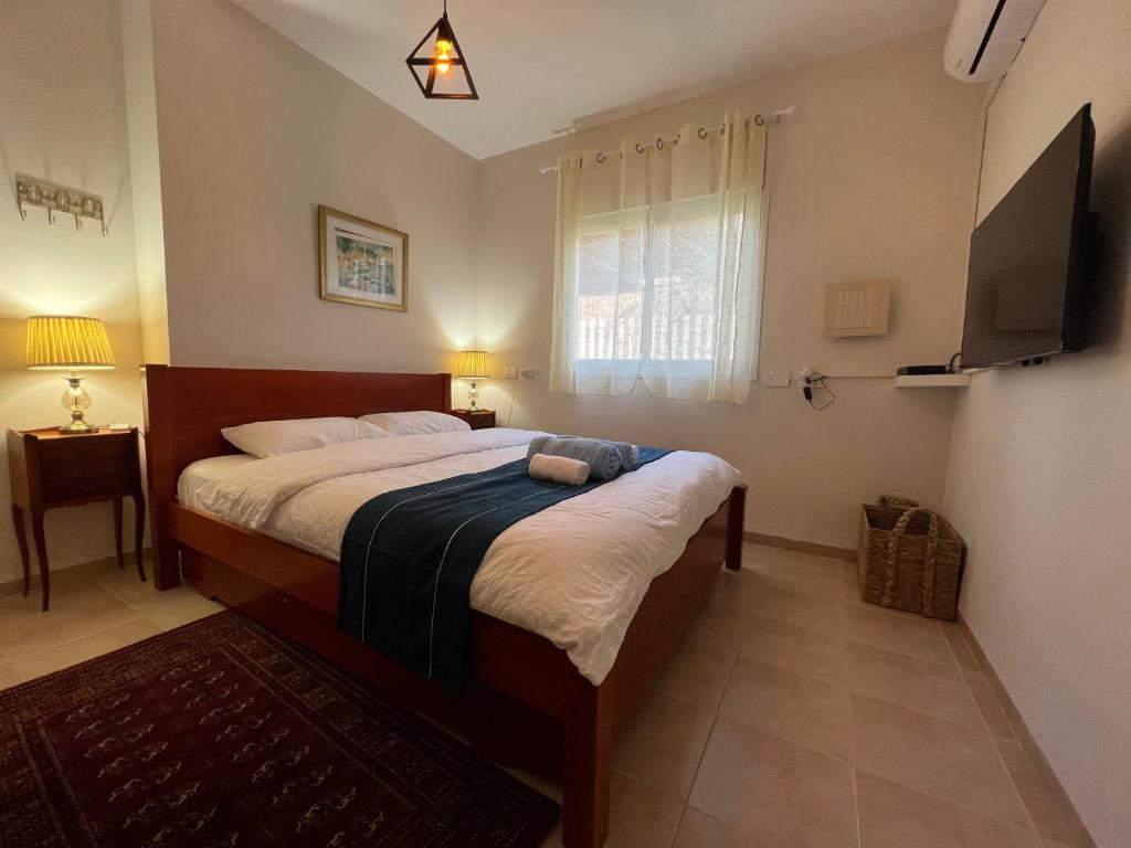 a bedroom with a bed and a television in it at Alma BaHar - charming 2 bdrm house with garden עלמה בהר - דירת אירוח בלב גן פורח in Zikhron Ya'akov