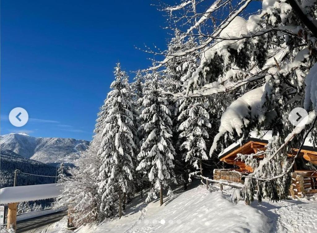 una cabaña en la nieve con árboles nevados en Cabanele silvania 1, en Statjunea Borsa