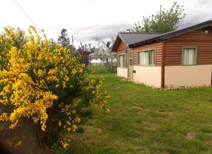 a house and a bush with yellow flowers in a yard at La casa de la abuela Cabaña in El Bolsón