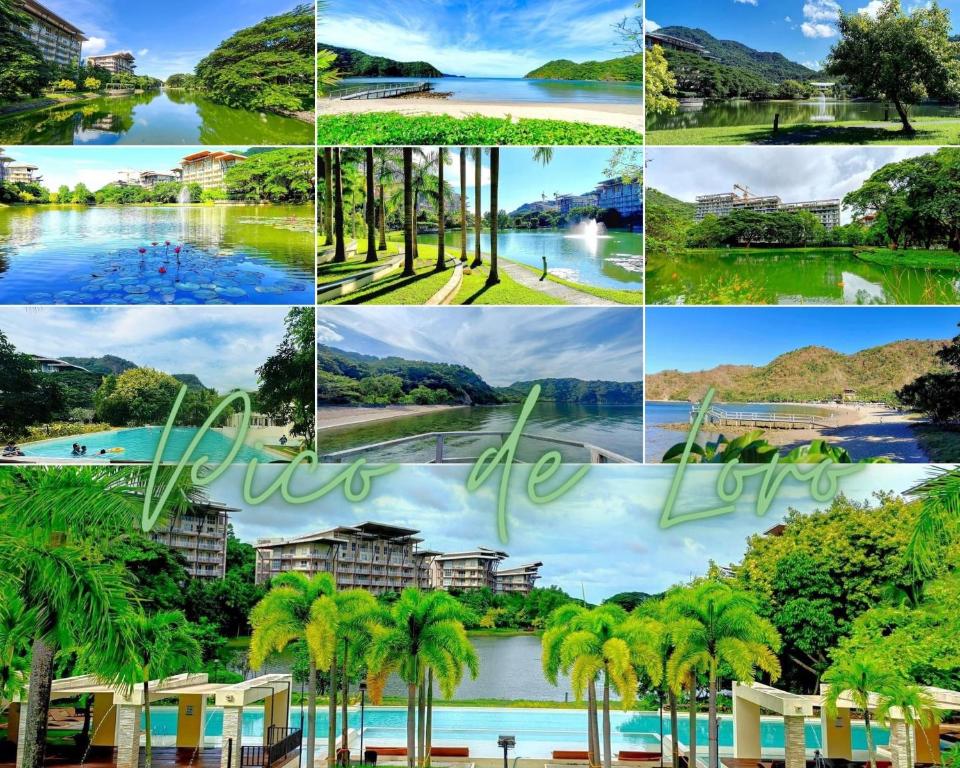 a collage of photos with palm trees and a lake at Condo Unit for Rent at Pico de Loro by Raquel's Place in Nasugbu
