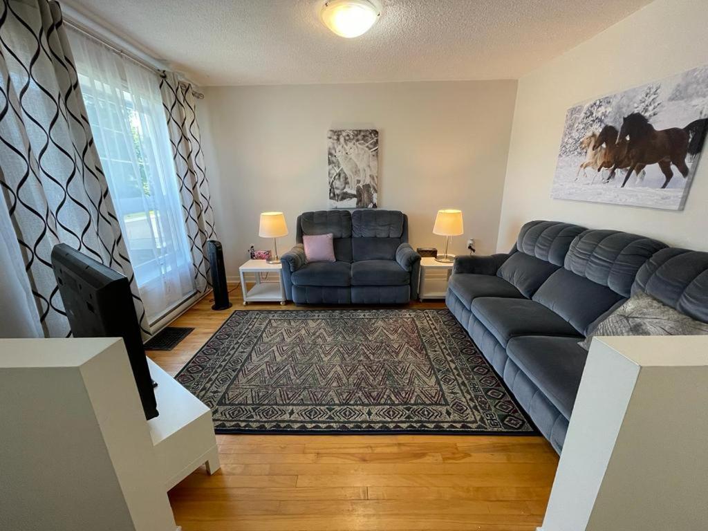 sala de estar con sofá y silla en 3 Bedrooms cozy comfortable vacation home downtown Gatineau Ottawa near Parliamant and Park en Gatineau