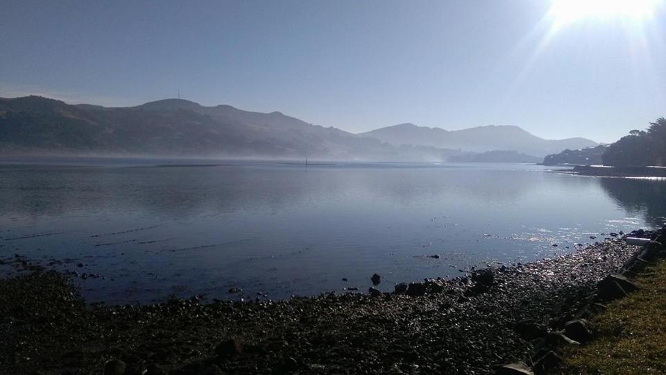 Otago Peninsula Paradise - Resim 16