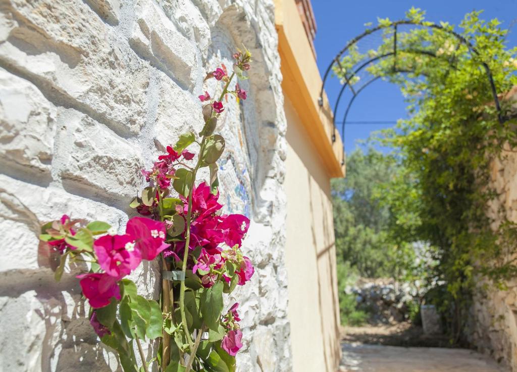 Zahrada ubytování Stone House San Pelegrin