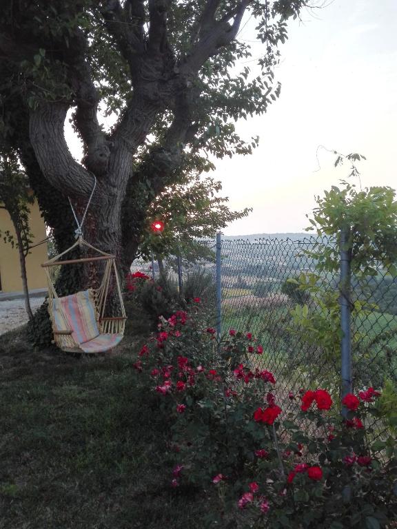 Vonkajšia záhrada v ubytovaní Casa Vacanze Angelica