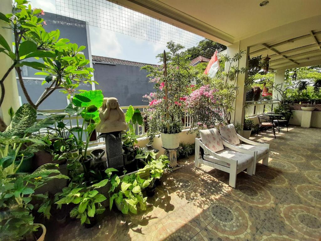 Zahrada ubytování INNI Homestay