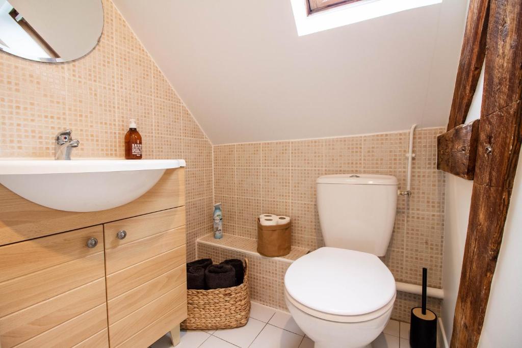 a bathroom with a toilet and a sink at Appt cosy coeur historique+park, 5mn gare Vernon in Vernon