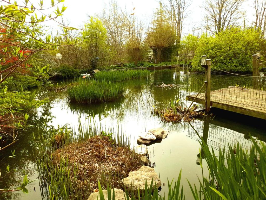 a garden with a pond with a wooden bridge at chambres d'hôtes naturistes de la moque souris in Saint-Pierre-de-Mailloc