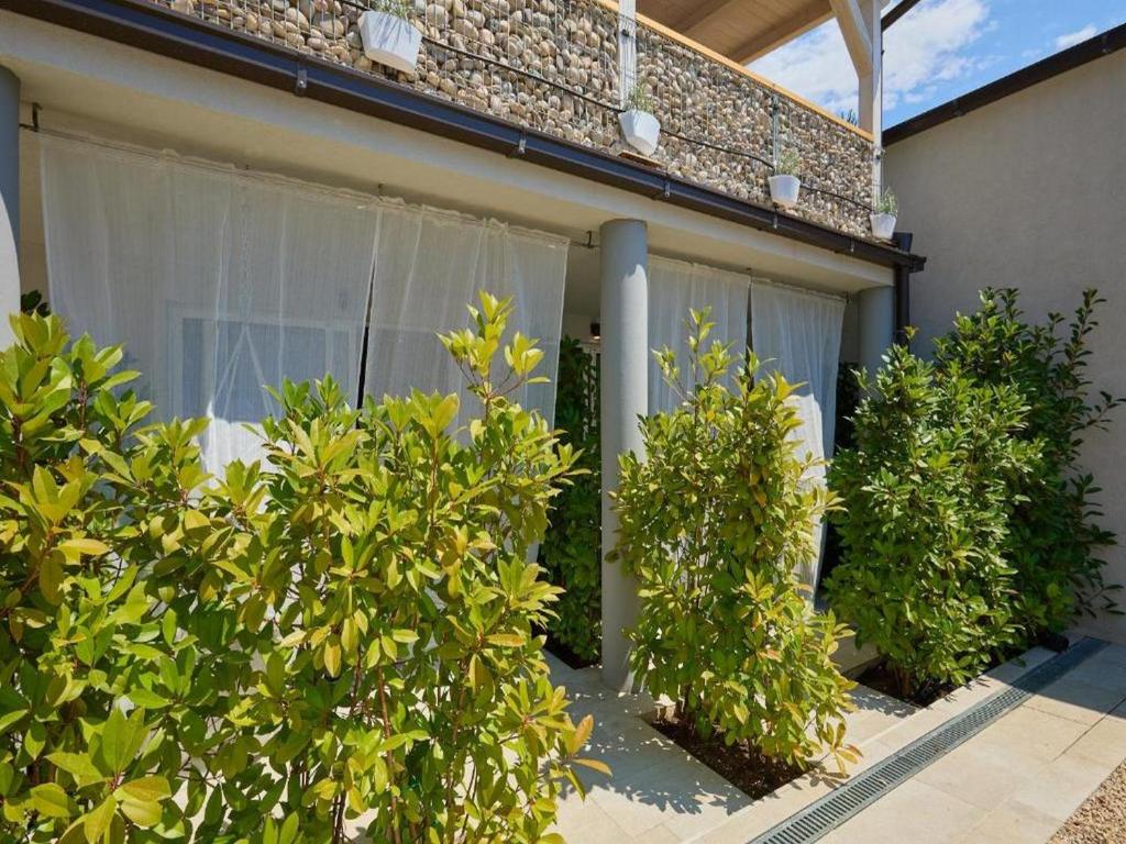 Palm Tree Apartments - 4