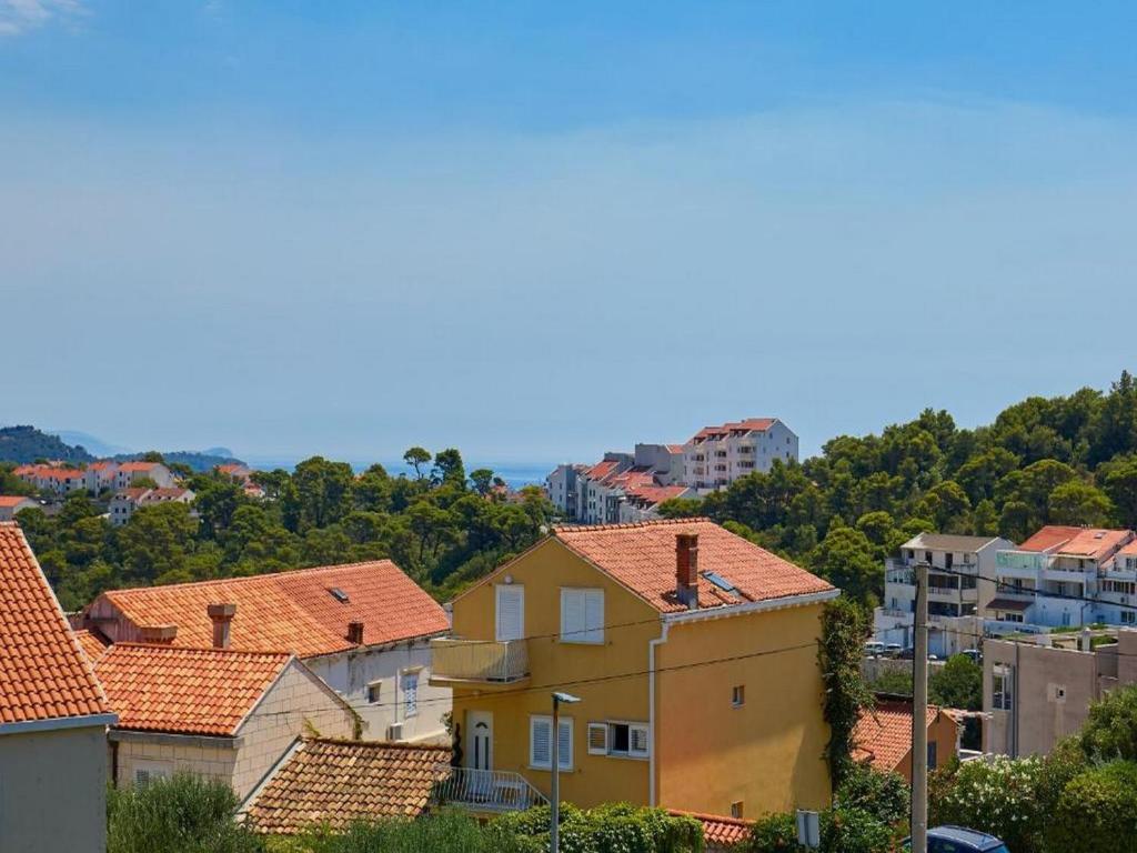 Palm Tree Apartments - 19