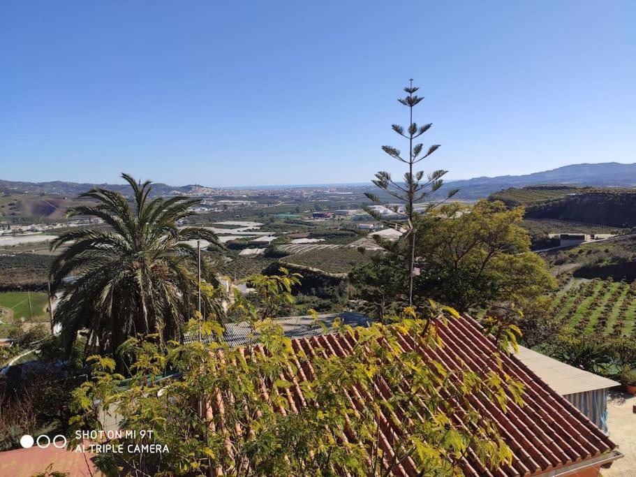 a view of a vineyard from a roof of a house at Casa Rosas in Vélez-Málaga