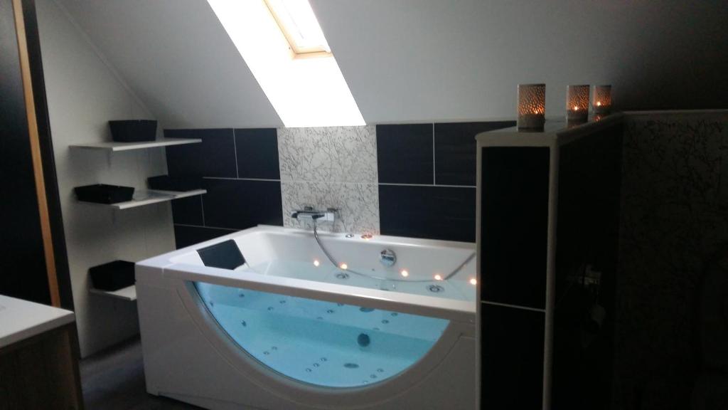 a bathroom with a bath tub with a skylight at Gite CANTAUVERGNE in Vebret