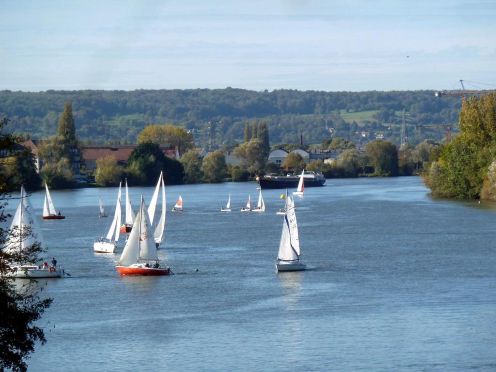 a group of sailboats floating on a river with trees at Appt cosy coeur historique+park, 5mn gare Vernon in Vernon