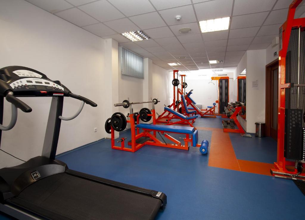 Fitness centrum a/nebo fitness zařízení v ubytování Hotel Petrovy kameny