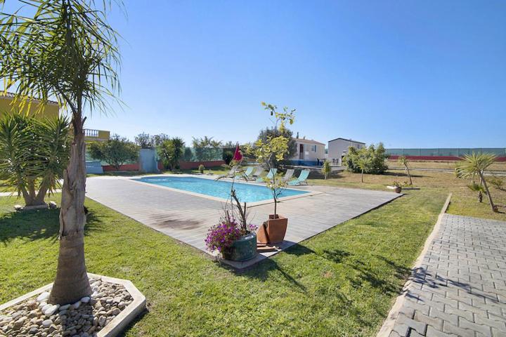 una piscina con una palmera en un patio en Mobile Home 1 - Olhão, en Quelfes