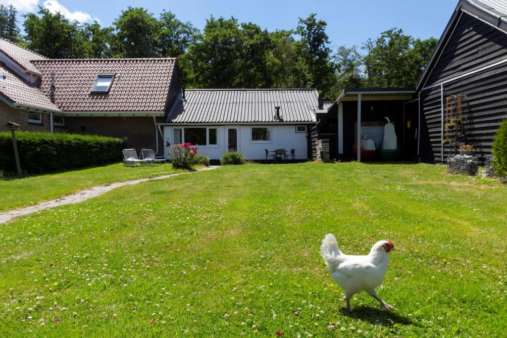 Fotografie z fotogalerie ubytování Little Creek v destinaci Renesse
