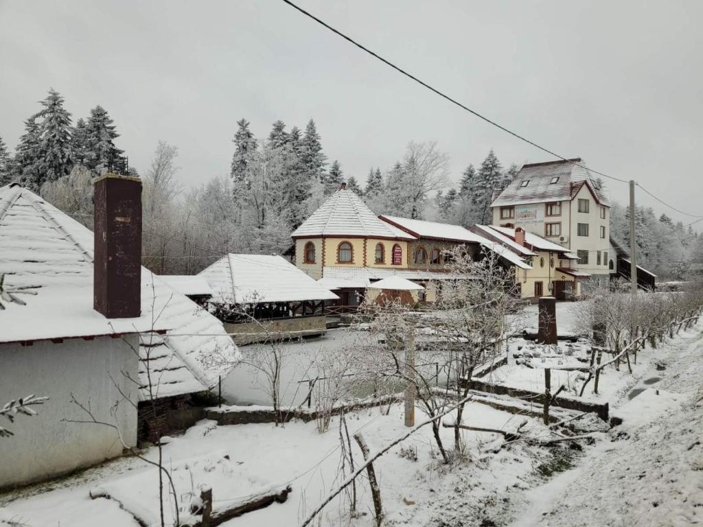 Ворота Карпат - Housity