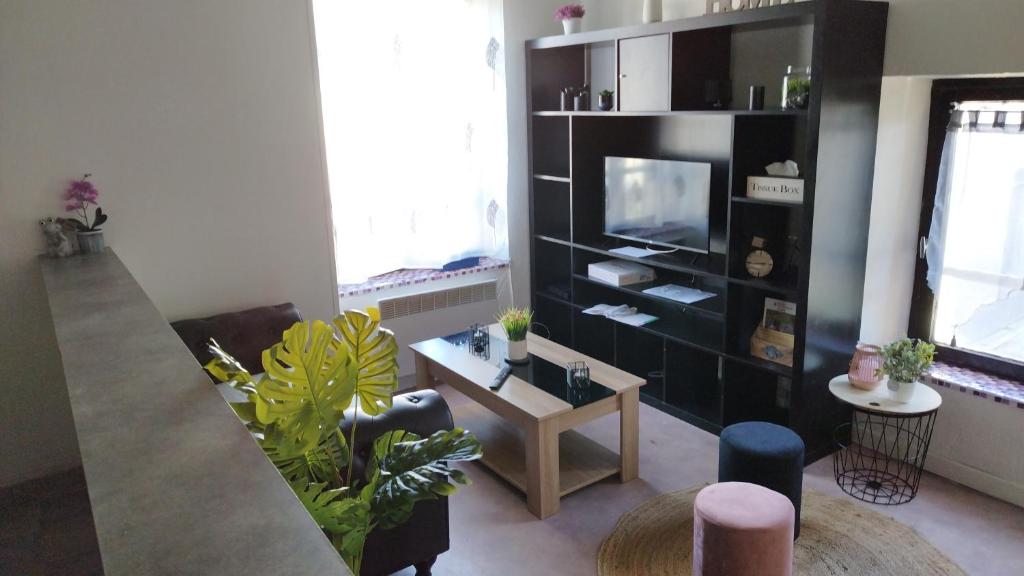 uma sala de estar com uma prateleira de livros pretos e uma televisão em Disney Appartement em Quincy-Voisins