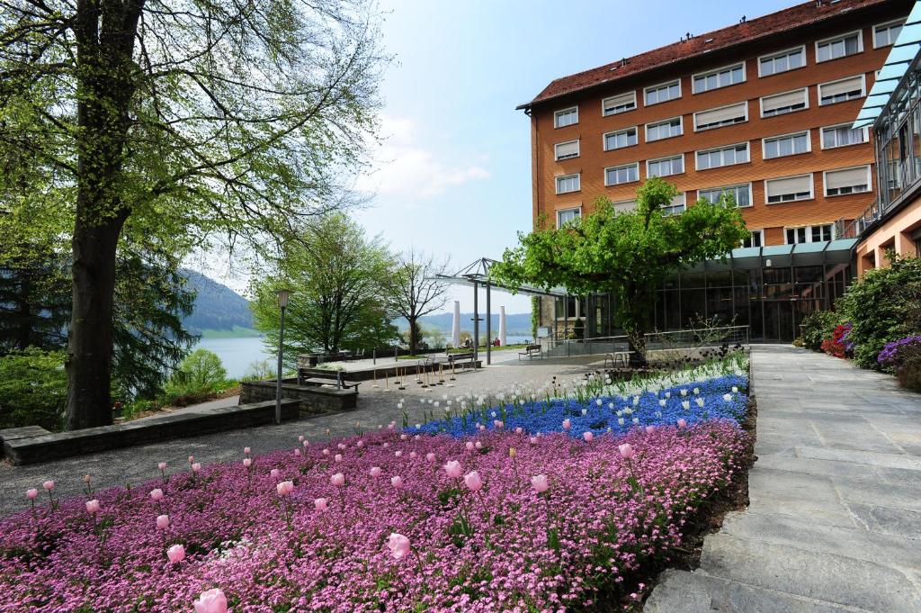 Příroda nedaleko hotelu