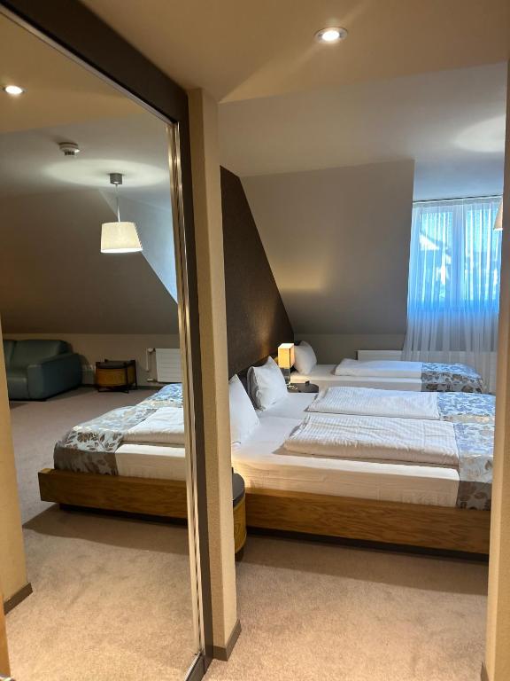 Plaza Hotel Winterthur - Resim 11