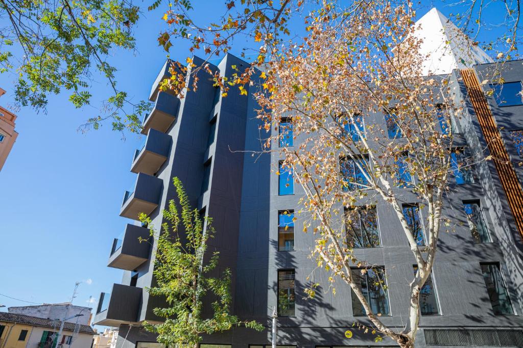 JS Palma Plaza - Resim 28