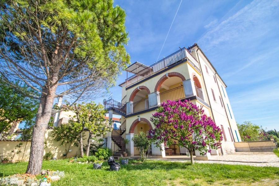 uma casa grande com flores cor-de-rosa em frente em Apartment Bencic em Novigrad Istria