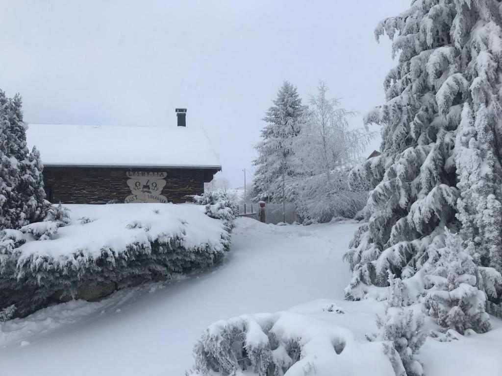 a yard covered in snow with trees and a building at Lyshytta in Saint-Pierre-dels-Forcats