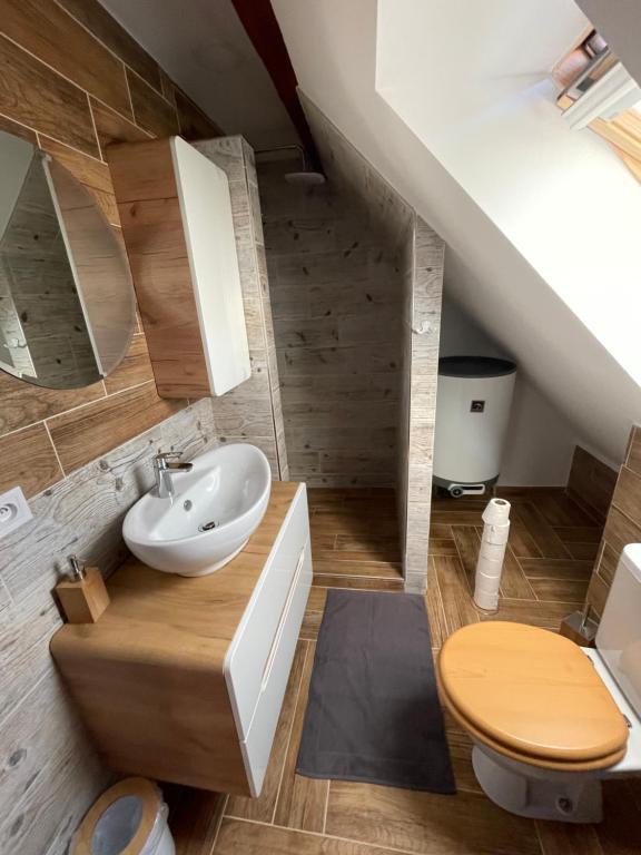 un bagno con lavandino e WC di Ubytování U Synagogy Dobříš a Dobříš