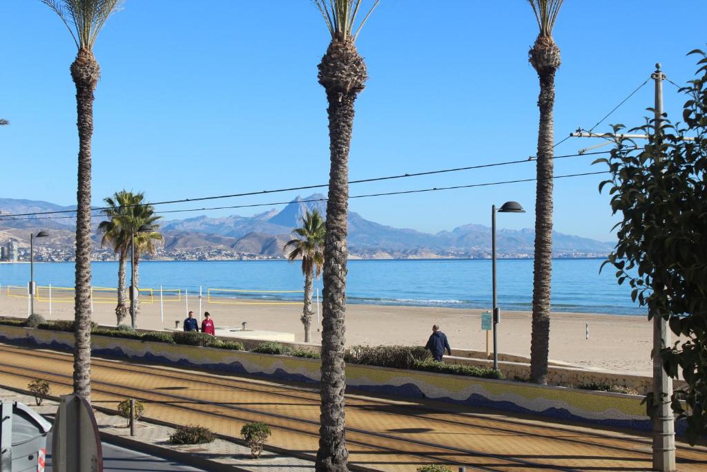 un groupe de palmiers sur la plage dans l'établissement Relax en primera línea AP4, à El Campello