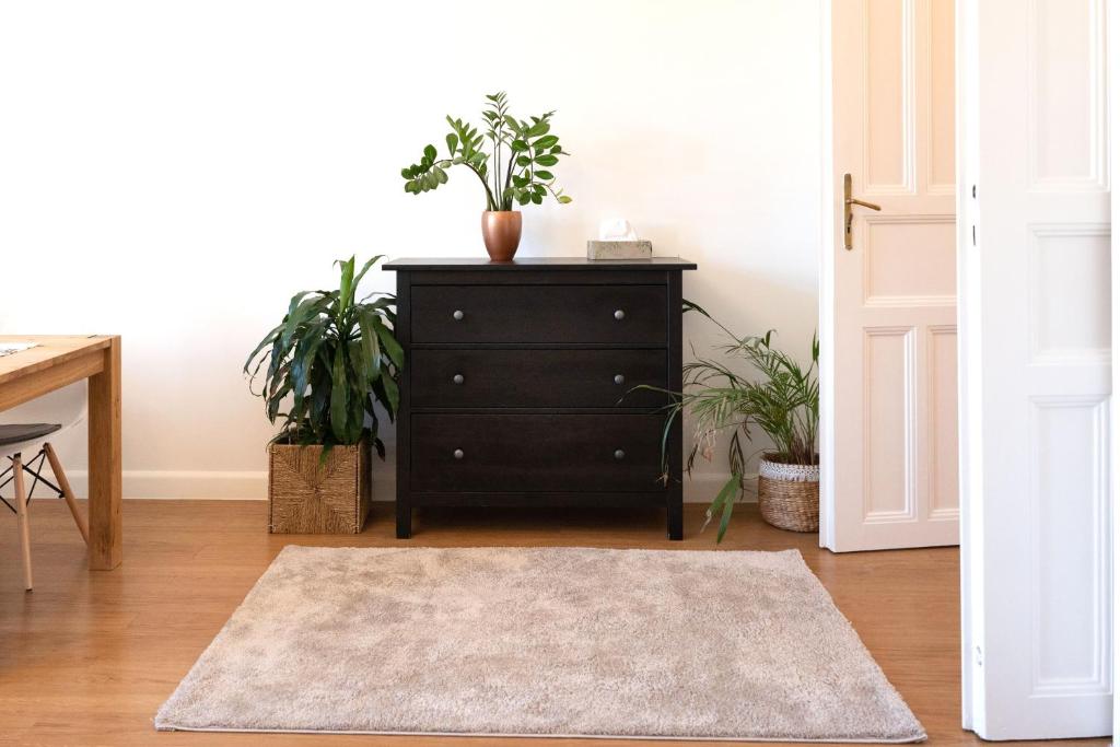 Central Szeged Apartment
