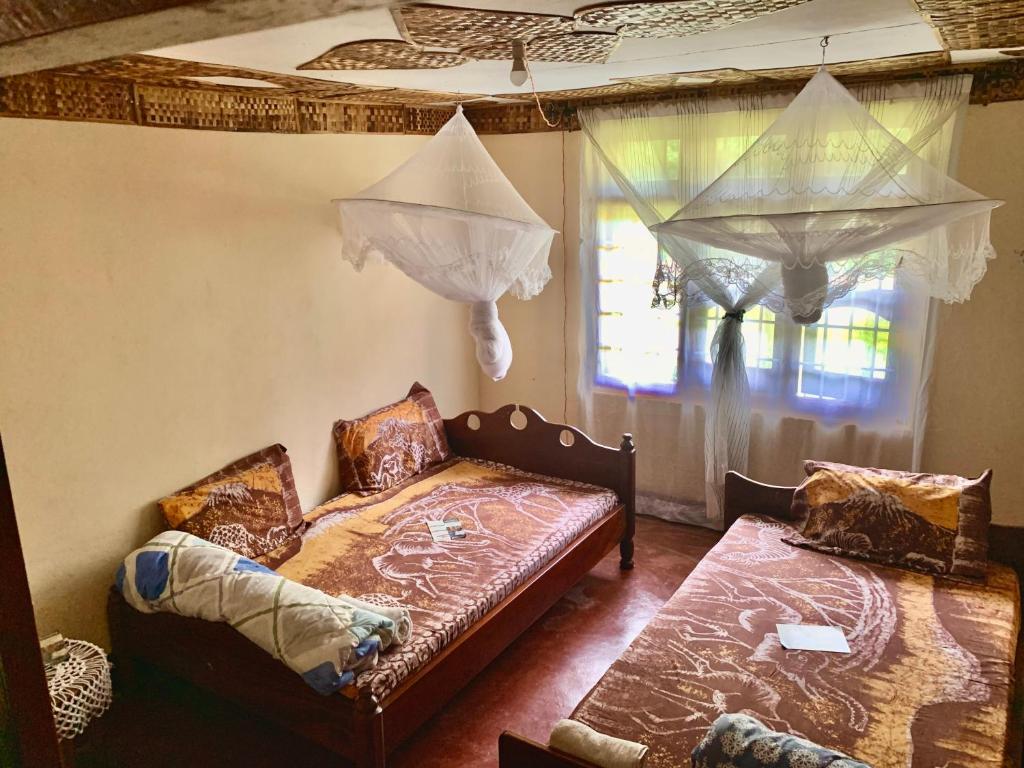 a living room with a bed and a window at Machame Homestay and Cultural Tourism in Machame