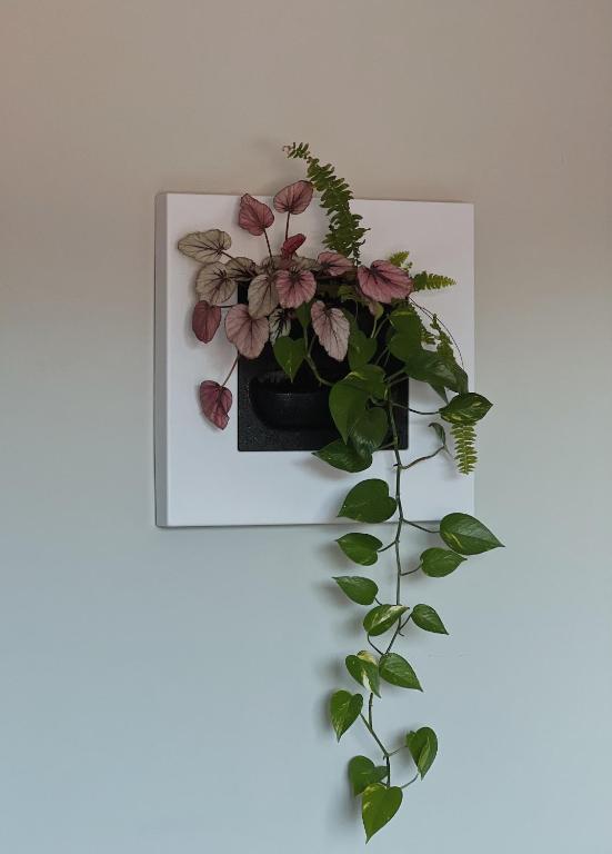 Luna House & Cowork - 14