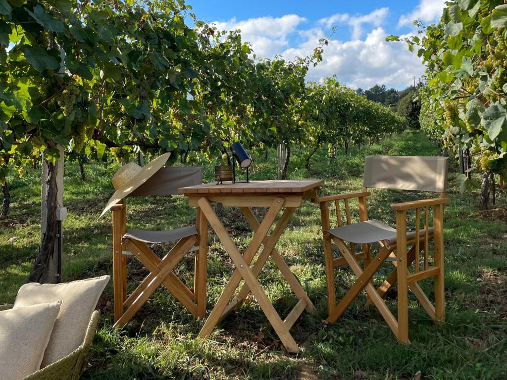 Vinha by NHôme - 19