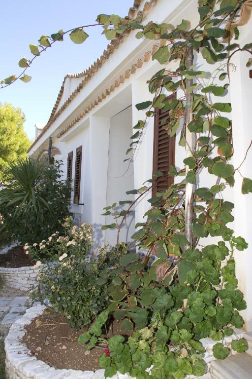 a plant in front of a white house at Oasi Beach Hotel in Vieste