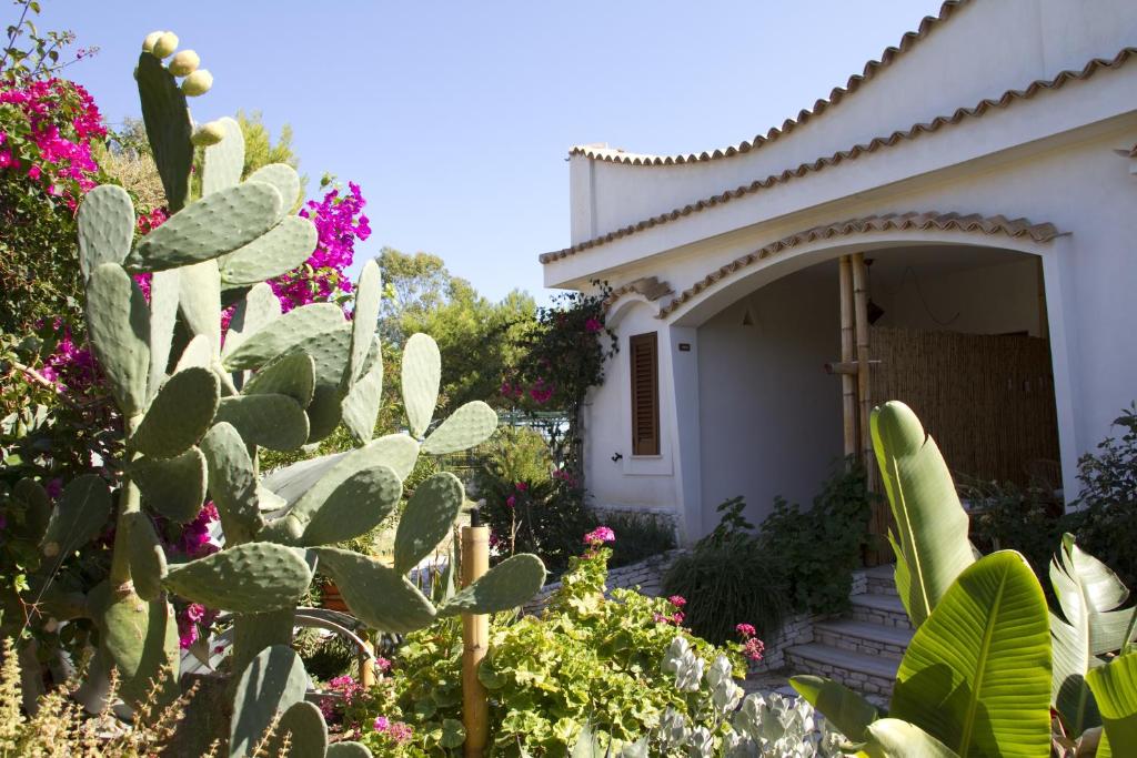 un jardín frente a una casa con un cactus en Oasi Beach Hotel, en Vieste