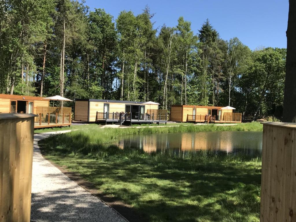 a group of lodges next to a lake at Oak Boutique Lodge includes hot tub air con & dog in York