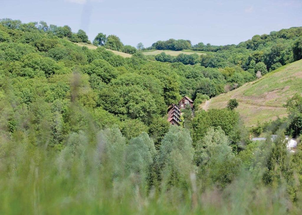 un tren viajando por una frondosa colina verde en Exmoor Gate Lodges en Chipstable