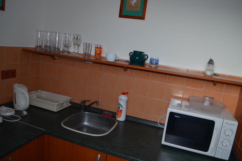 Kuchyň nebo kuchyňský kout v ubytování Hotel u Kapra