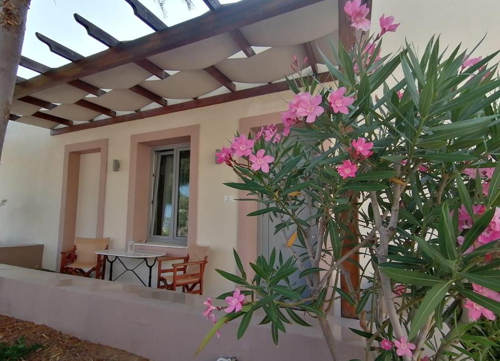 una casa con flores rosas en el patio delantero en Oinoni's Home - ACHILLES studio, en Souvala