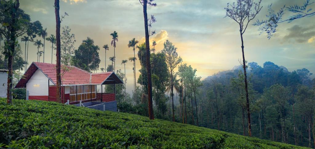 a small house on top of a hill with trees at Mayflower Holiday Villa in Meppādi
