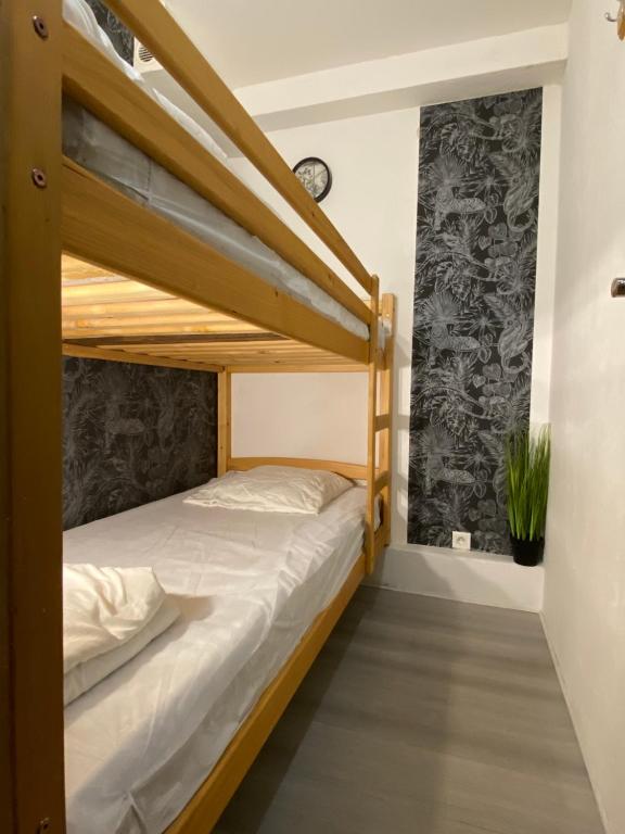 カップ・ダグドにあるStudio Cabine Centre Port Cap d'Agdeのベッドルーム1室(二段ベッド2台、植物付)