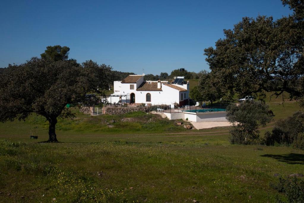a white house on top of a hill with a tree at Casa Cortijo en Dehesa Sierra León in La Puebla de los Infantes