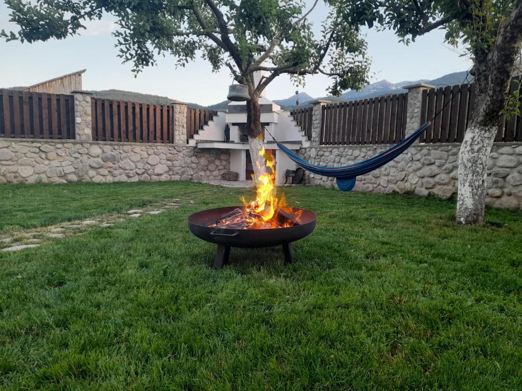a fire pit in a yard with a hammock at Ергини in Dobrinishte
