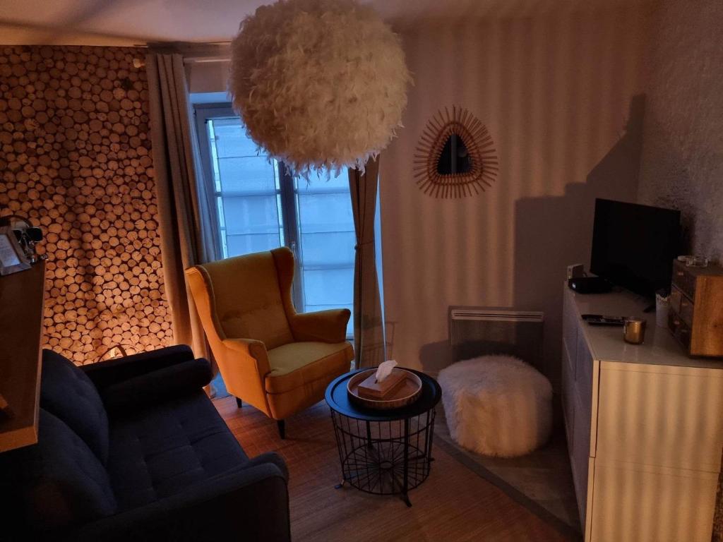 een woonkamer met een bank en een stoel bij Petit cocon quartier historique Chaumont in Chaumont