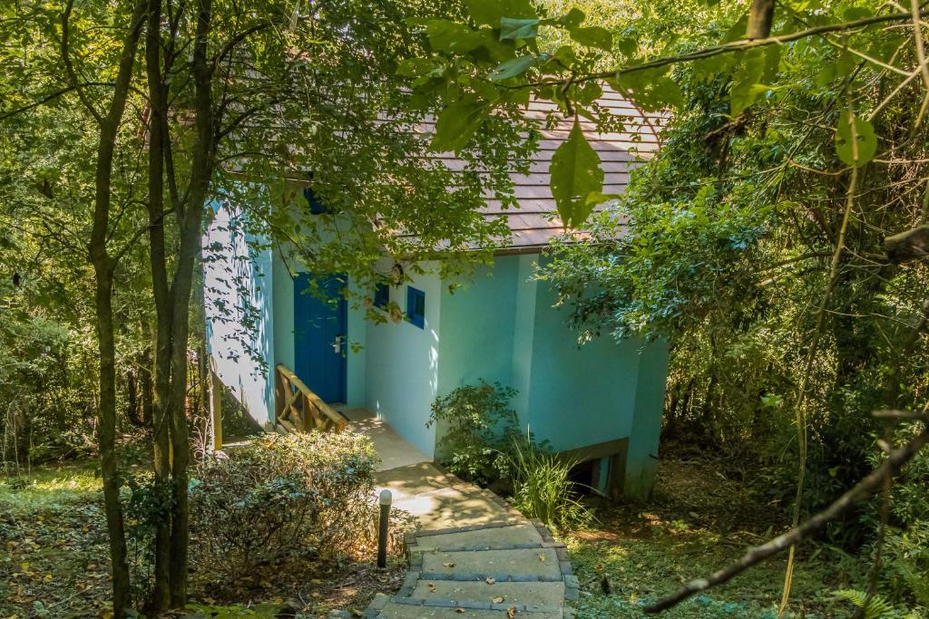 Villa Flor Ecoresort - 豪华平房