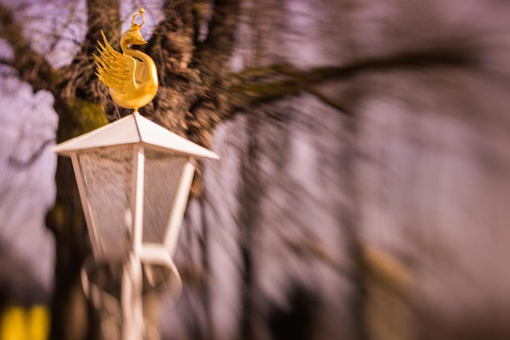 Fotografie z fotogalerie ubytování Hotel Schwan - Das Gästehaus Ilse v destinaci Oestrich-Winkel