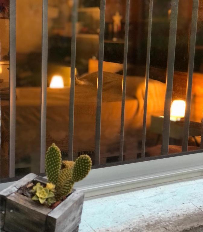 Fotografie z fotogalerie ubytování Casita del parque v destinaci Salto